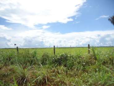 Fazenda em xingu - mt