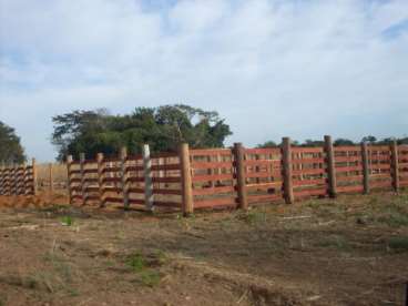 Fazenda excelente pra lavoura de soja