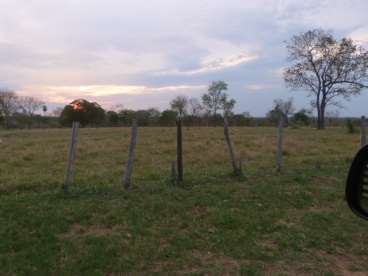 Fazenda fazendao em miranda 970ha - 191