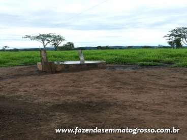 Fazenda glória doeste / mt 273 hectares