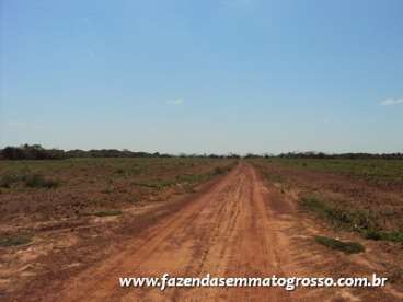 Fazenda jangada / mt 2400 hectares