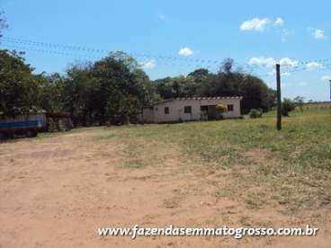 Fazenda jangada / mt 2400 hectares