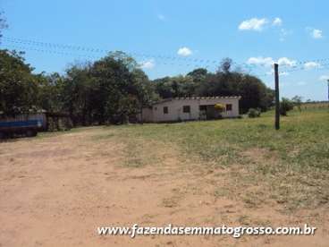 Fazenda jangada / mt 2400 hectares