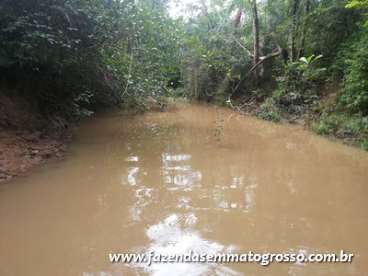 Fazenda jangada / mt 370 hectares