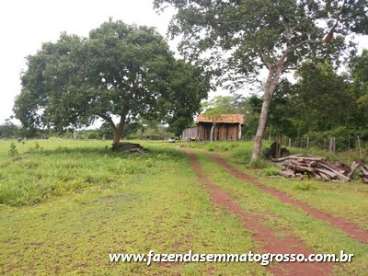 Fazenda jangada / mt 370 hectares