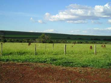 Fazenda jaraguari - 890 ha