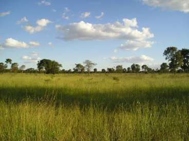 Fazenda jaraguari - 890 ha