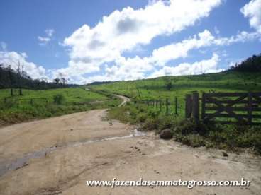 Fazenda localizada a 60km de novo progresso/mt