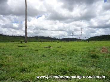 Fazenda localizada a 60km de novo progresso/mt