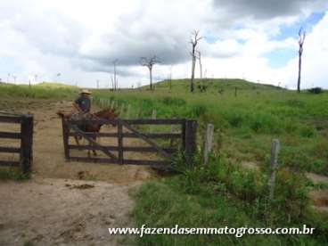 Fazenda localizada a 60km de novo progresso/mt