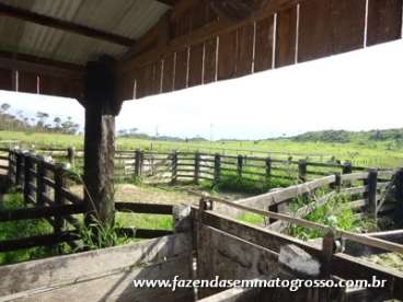 Fazenda localizada a 60km de novo progresso/mt