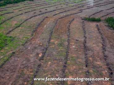 Fazenda matupá / mt 13000 hectares