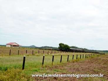 Fazenda matupá / mt 13000 hectares