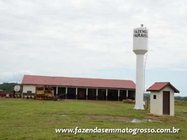 Fazenda matupá / mt 13000 hectares