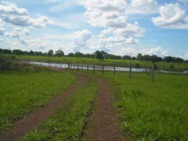 Fazenda n. s. livramento / mt 380 hectares