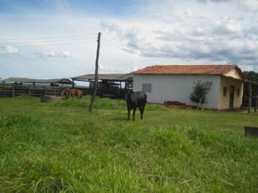 Fazenda n. s. livramento / mt 380 hectares