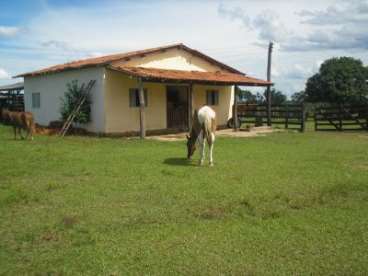 Fazenda n. s. livramento / mt 380 hectares