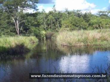 Fazenda n. s. livramento / mt 62 hectares