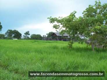 Fazenda n. s. livramento / mt 62 hectares