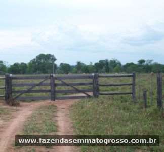 Fazenda n. s. livramento / mt 62 hectares