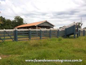 Fazenda n. s. livramento / mt 630 hectares