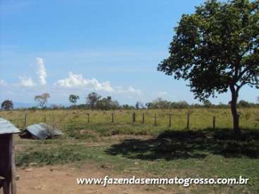 Fazenda n. s. livramento / mt 630 hectares