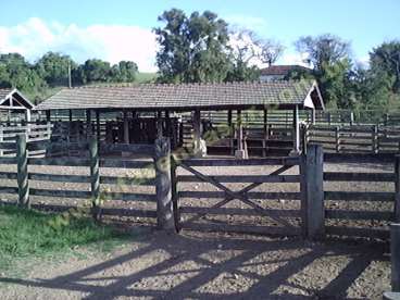 Fazenda na regiao de piracicaba - sp. com 1.000 he