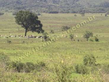 Fazenda na regiao de pouso alegre. com 100 alqueir