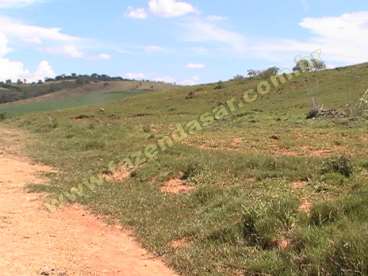 Fazenda na regiao de pouso alegre. com 100 alqueir