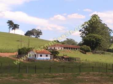 Fazenda na regiao de pouso alegre. com 40 alqueire