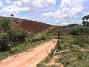 Fazenda na regiao de pouso alegre. com 80 alqueire