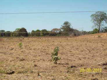 Fazenda no cocalinho beira do rio cristalino