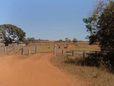 Fazenda no município de canarana - mt 4525 ha