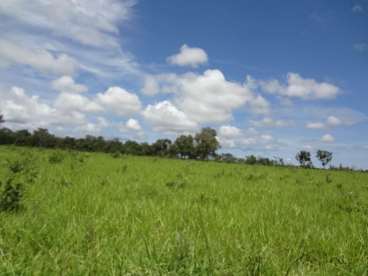 Fazenda no município de canarana-mt