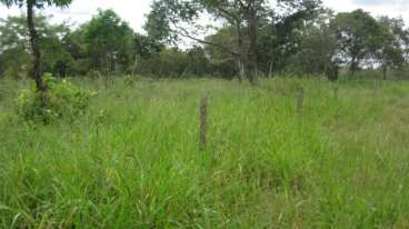 Fazenda no município de ponte alta do tocantins