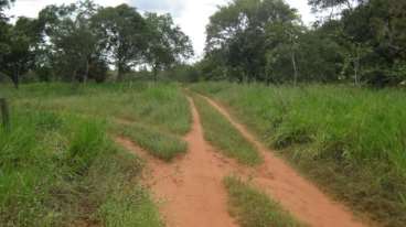 Fazenda no município de ponte alta do tocantins