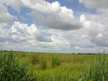 Fazenda no município de ponte alta do tocantins