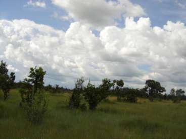 Fazenda no município de ponte alta do tocantins