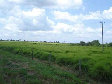 Fazenda no município de santa fé do araguaia-to