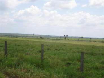 Fazenda no município de santa fé do araguaia-to