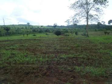 Fazenda no sul do pará 67945 ha