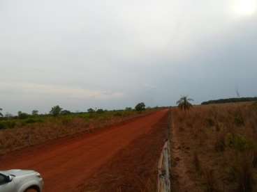 Fazenda no to ótima para pecuária