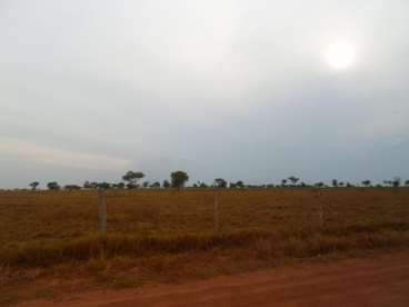 Fazenda no to ótima para pecuária