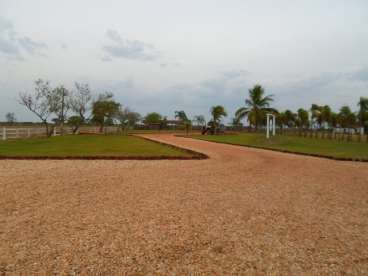 Fazenda no to ótima para pecuária