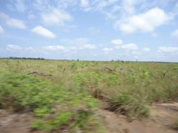 Fazenda no tocantins