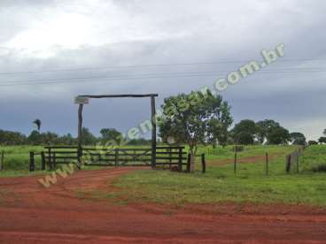 Fazenda no vale do araguaia - mt. 55.000 ha