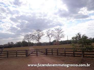Fazenda nortelandia / mt 200 alqueires