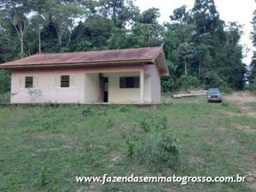 Fazenda nova bandeirantes / mt 720 hectares