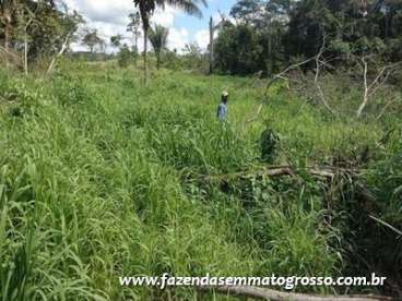 Fazenda nova bandeirantes / mt 720 hectares