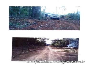 Fazenda nova bandeirantes / mt 982 alqueires